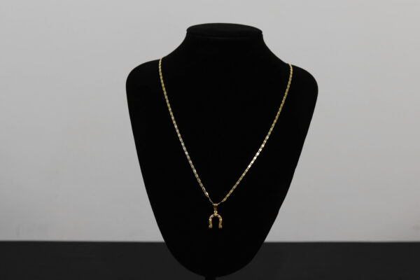 CONJUNTO PIESTRINE PREMIUM + PINGENTE  FERRADURA - Image 2