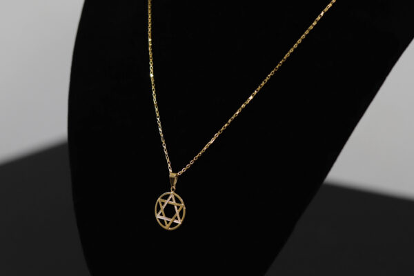 CONJUNTO CORRENTE CARTIER ELO CHAPADO + PINGENTE ESTRELA DE DAVI.